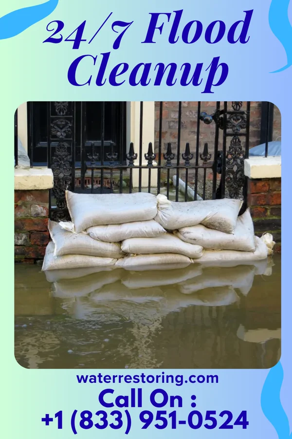 24/7 Flood Cleanup in Palo Blanco, TX