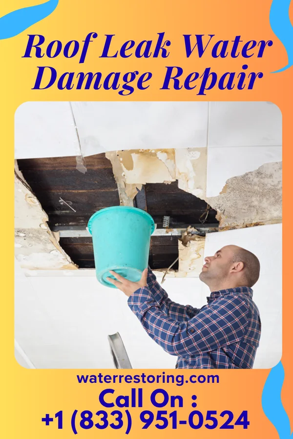 Roof Leak Water Damage Repair in Palo Blanco, TX
