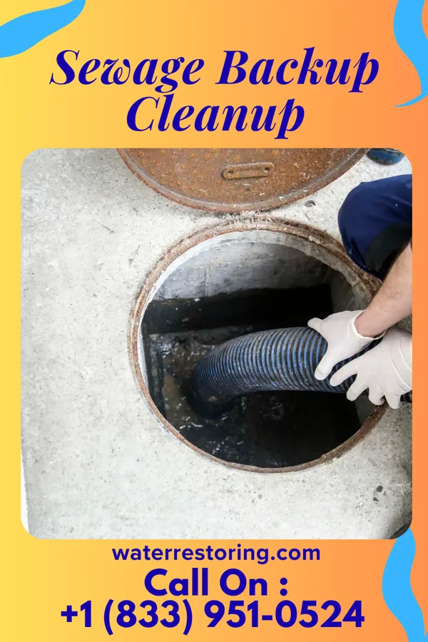Sewage Backup Cleanup in Palo Blanco, TX